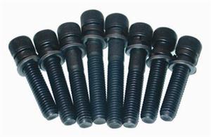 Intake Manifold Bolts (Set of Eight) MWIMB-S